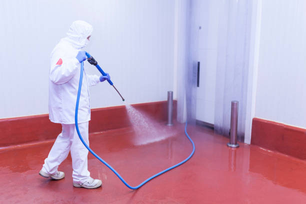 Best Roof Washing  in New Haven, IN