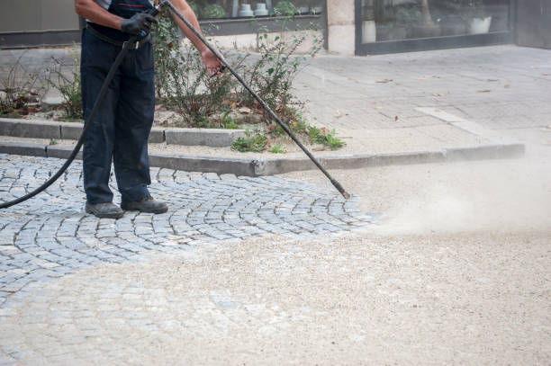 Best Animal Enclosure Cleaning  in New Haven, IN