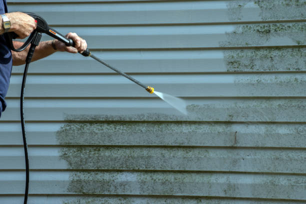 Best Solar Panel Cleaning  in New Haven, IN